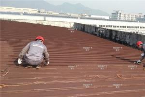 為水蜜桃成人网屋頂做好維護保養