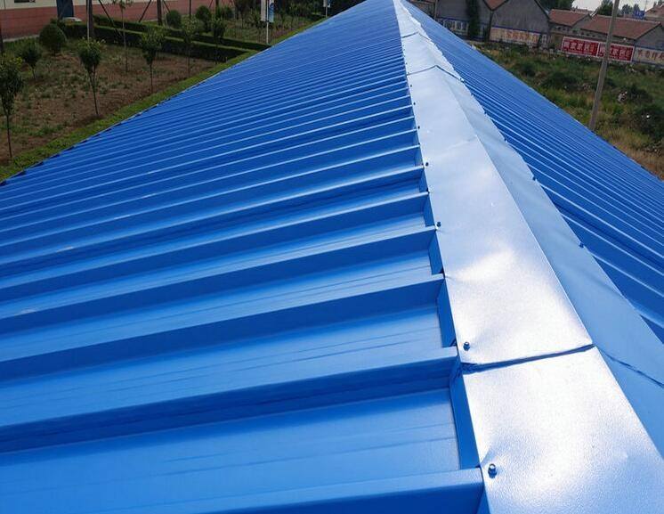 水蜜桃成人网屋麵翻新效果