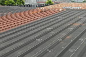 蜜桃网站在线观看翻新漆為什麽噴塗光澤度不同