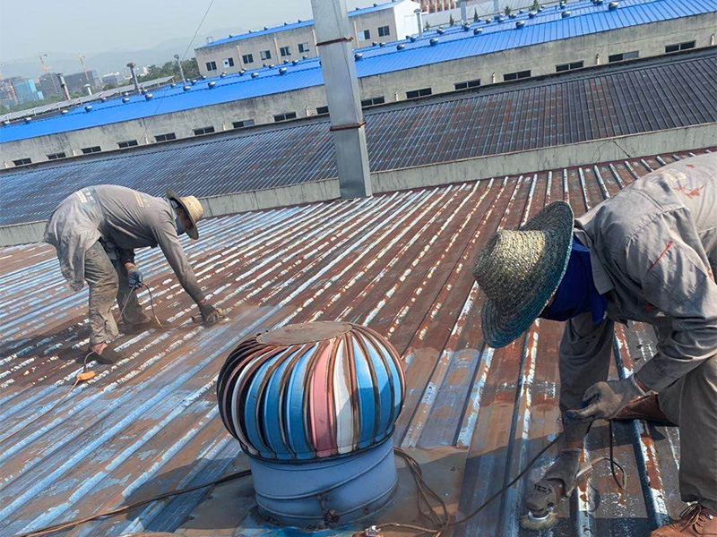 91蜜桃在线观看蜜桃网站在线观看翻新修繕專用漆